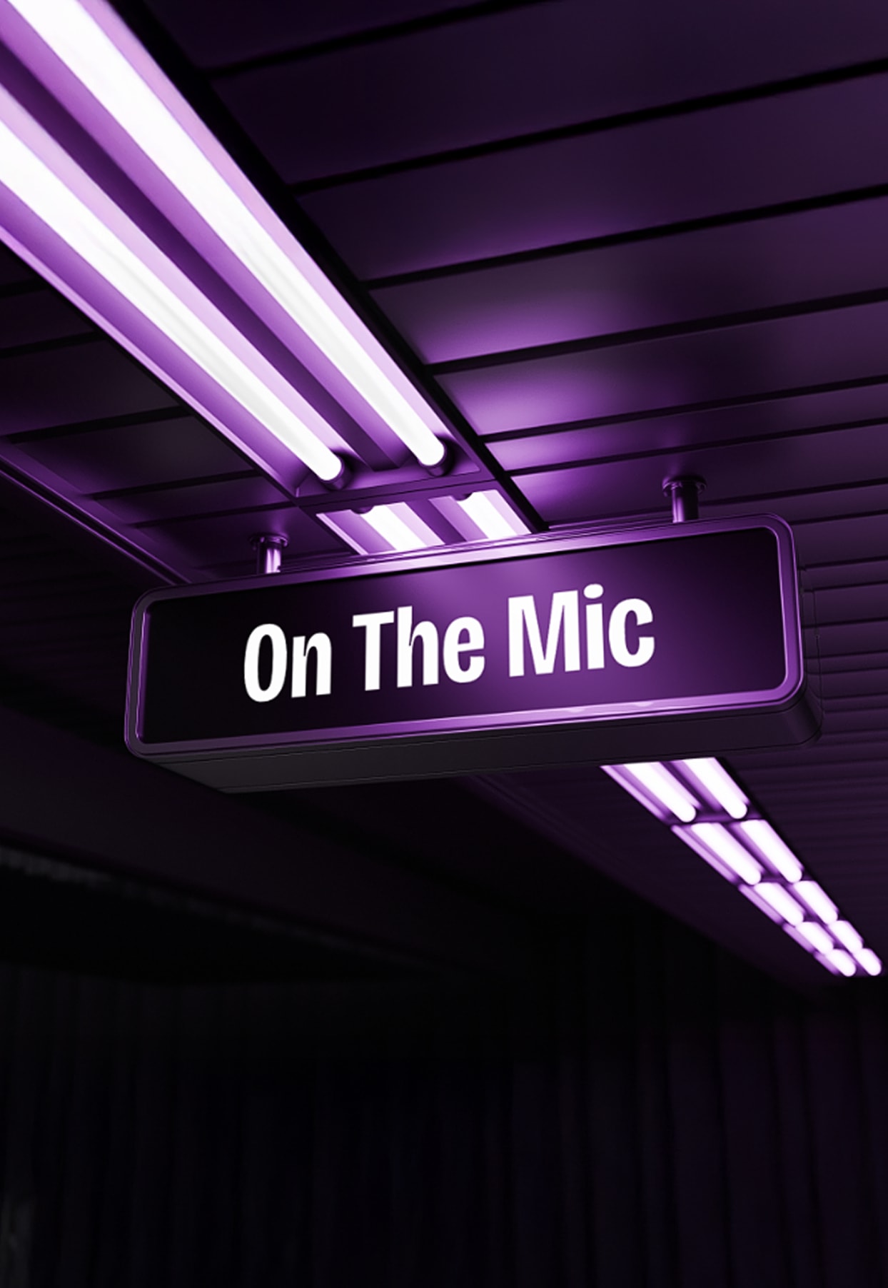 On The Mic App image info